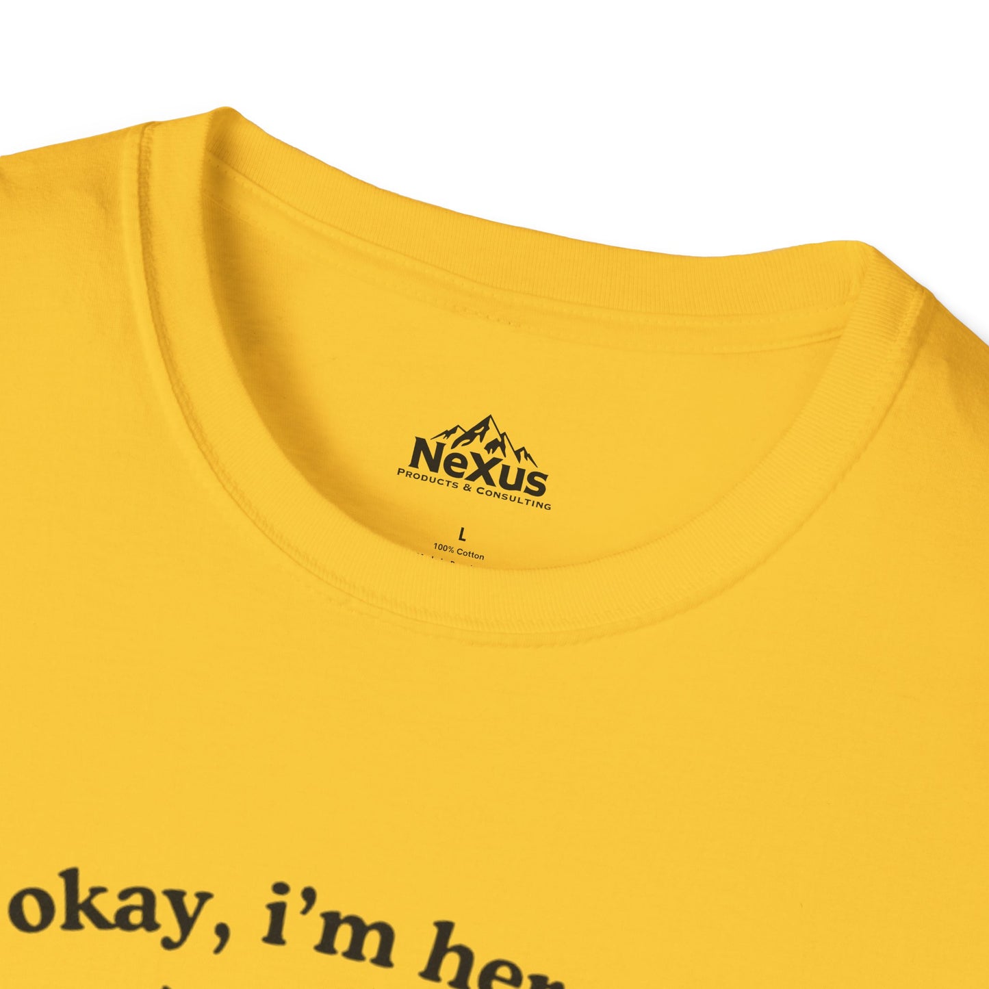 Witty Raccoon T-Shirt